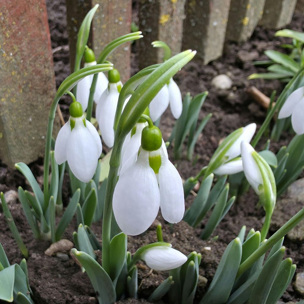 Návrh bez názvu (26)